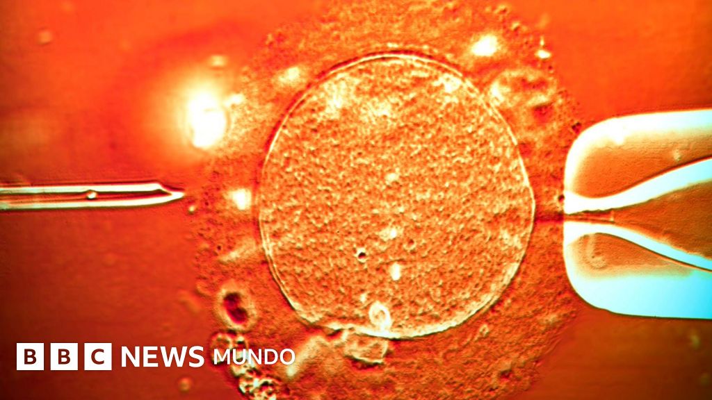 Estos casos son «extremadamente raros» si se tiene en cuenta el número de niños nacidos de un donante de esperma, según Sarah Norcross. Todos los expertos con los que hablamos afirmaron que acudir a una clínica autorizada garantiza que el esperma se someta a más pruebas de detección de enfermedades que la mayoría de los futuros padres.