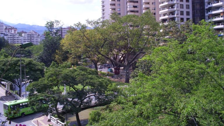 Cali peatonaliza El Peñón para el Día de las Velitas