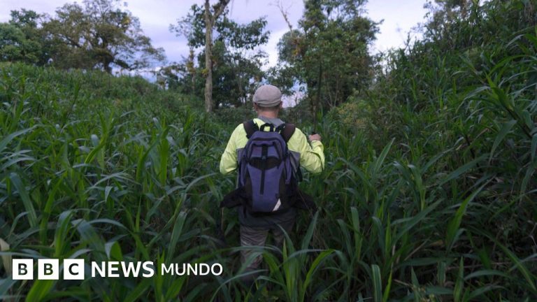 La verdadera historia detrás de la «ciudad perdida» de la Amazonía