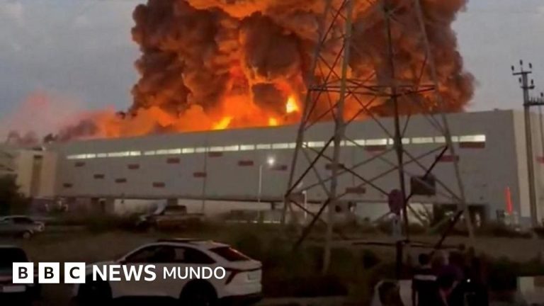 ¿Por qué Ucrania está atacando con tanta fuerza Wildberries, el equivalente ruso de Amazon?