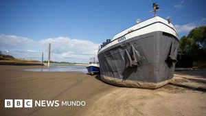 La histórica sequía que afecta al Rin y al Danubio, los principales ríos de Europa (y que amenaza con provocar un shock económico y energético)