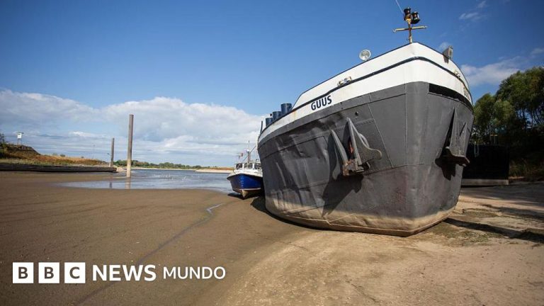 La histórica sequía que afecta al Rin y al Danubio, los principales ríos de Europa (y que amenaza con provocar un shock económico y energético)