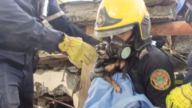 Centro de Medicina especial atiende a víctimas de sismo en Cali