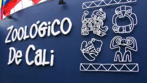 Alcaldía de Cali tuvo jornada especial en el Zoológico con niños afectados por terremoto