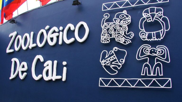 Alcaldía de Cali tuvo jornada especial en el Zoológico con niños afectados por terremoto