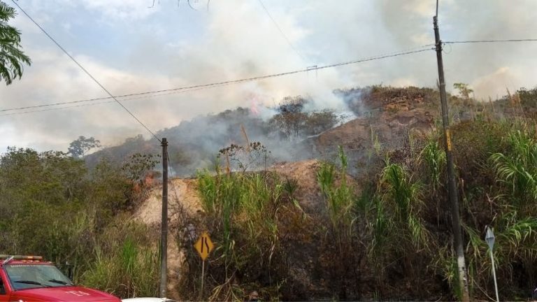 Incendio forestal en el sur de Cali obliga a restringir el paso en la Avenida de los Cerros