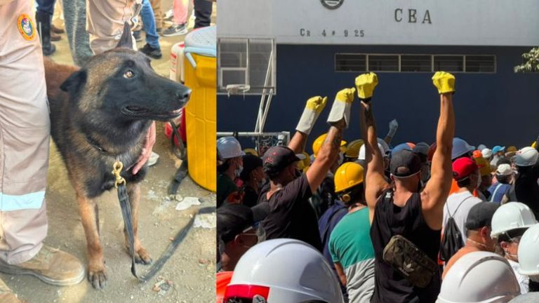 Héroes caninos y emergencia tras sismo: La historia detrás