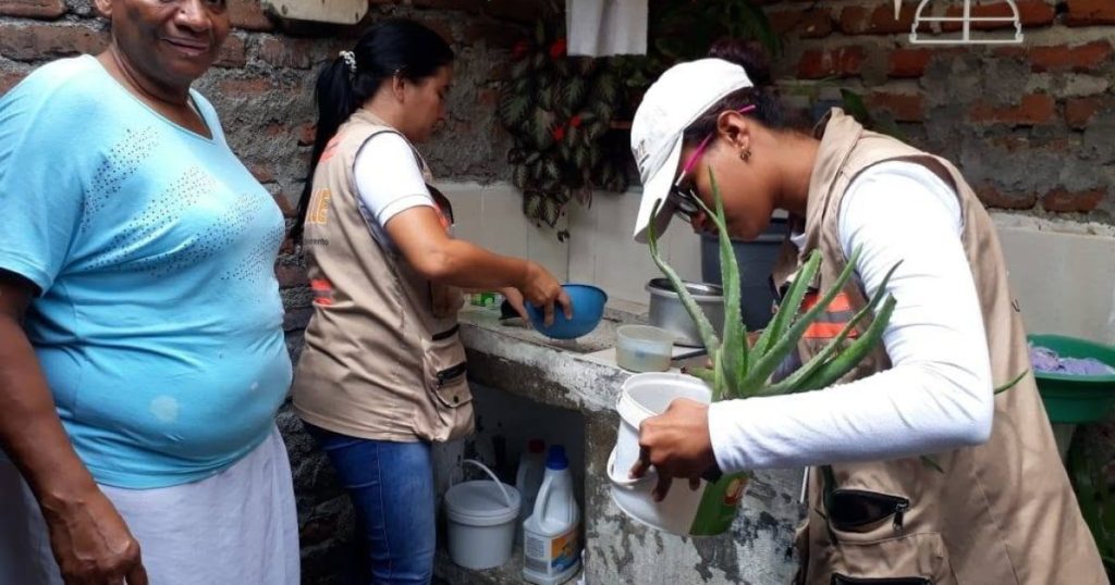Oleadas de calor aumentan presencia de zancudos y elevan alerta por dengue en el Valle